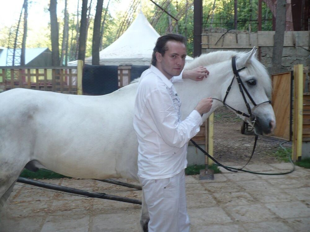 ���� 17108011 ������� Angel, 38 ���, ���� ���������� � ���