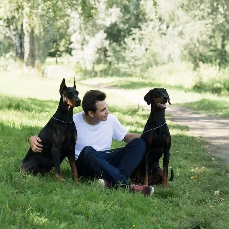 ���������� �����-���������, ���� ������� �����, 26 ���, ������������ ��� ����� � ���������, c�������� ���������