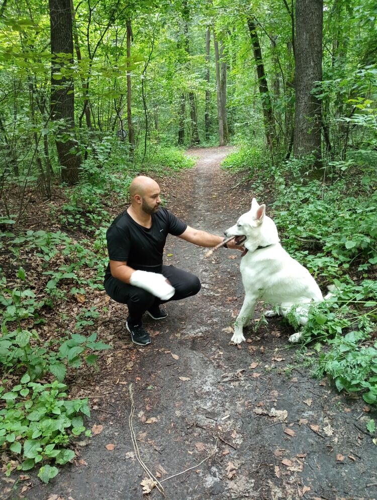 ���������� ������ �����, ���� ������� �����, 37 ���, ������������ ��� ����� � ���������, c�������� ���������