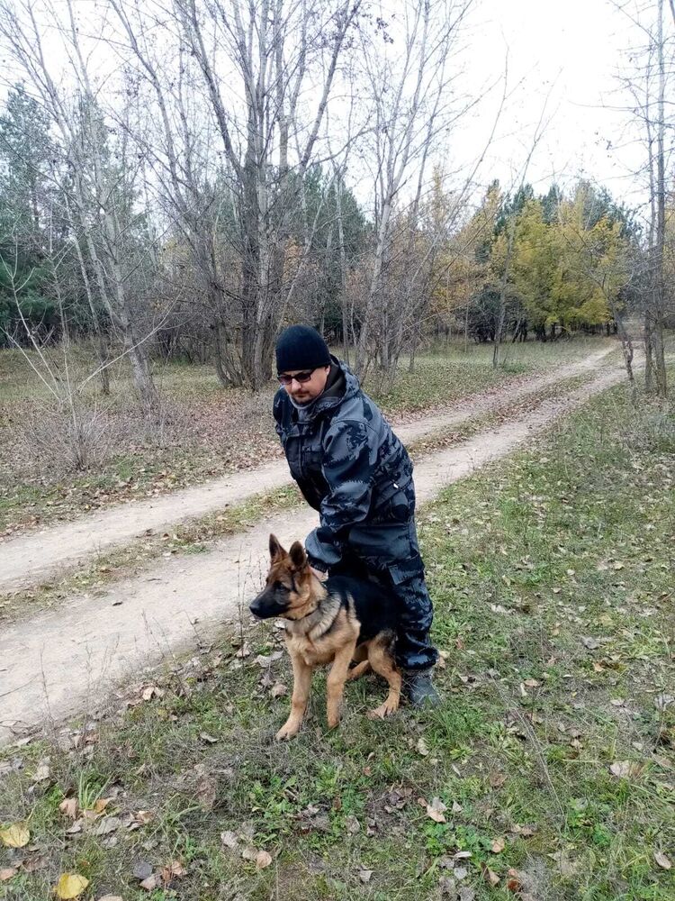 ���� 30642401 ������� �����, 39 ���, ���� ���������� � �������