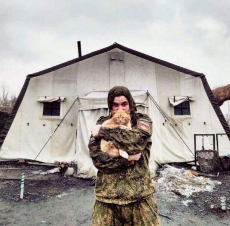 ���������� ������, ���� ������� Proton, 31 ���, ������������ ��� ������, ����� � ���������, ���������