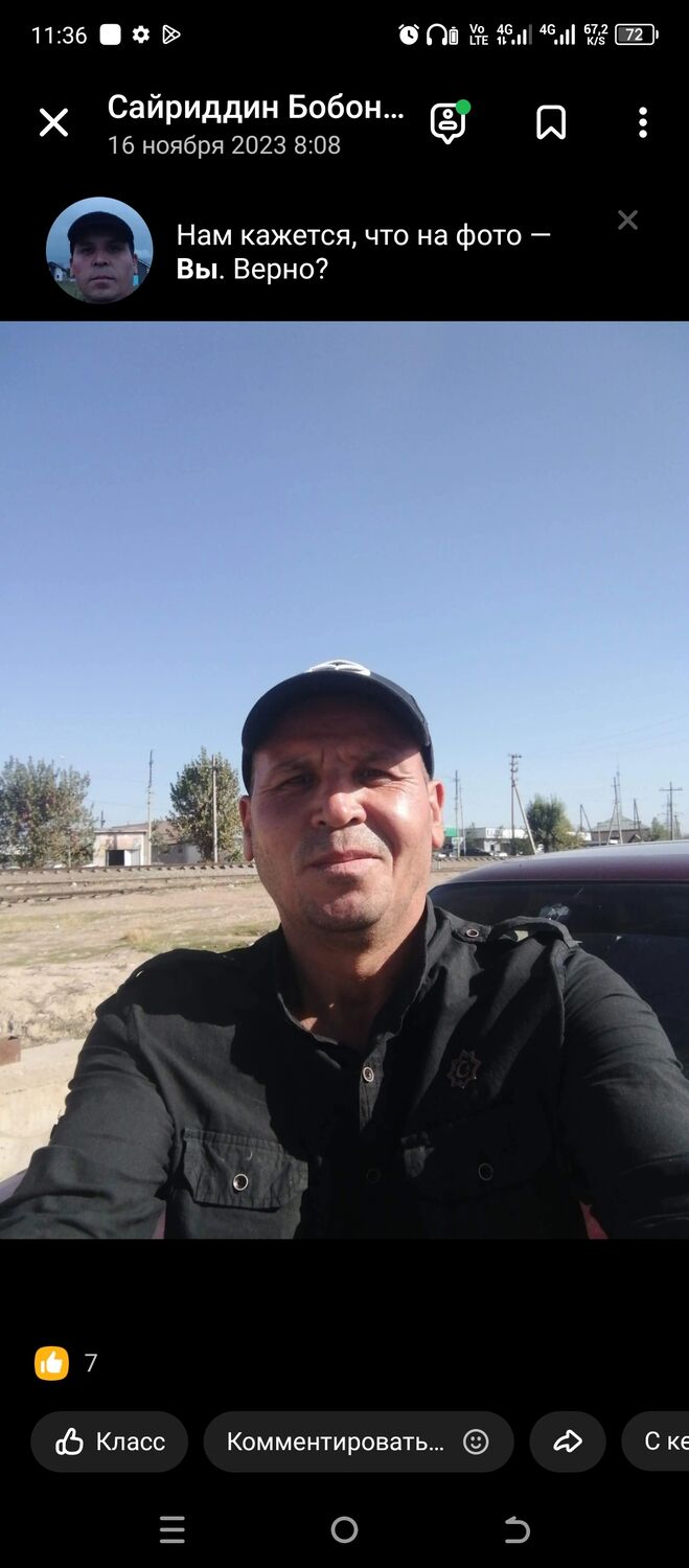  50329431  , 43 ,    