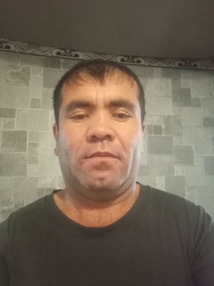  49313611  , 40 ,    