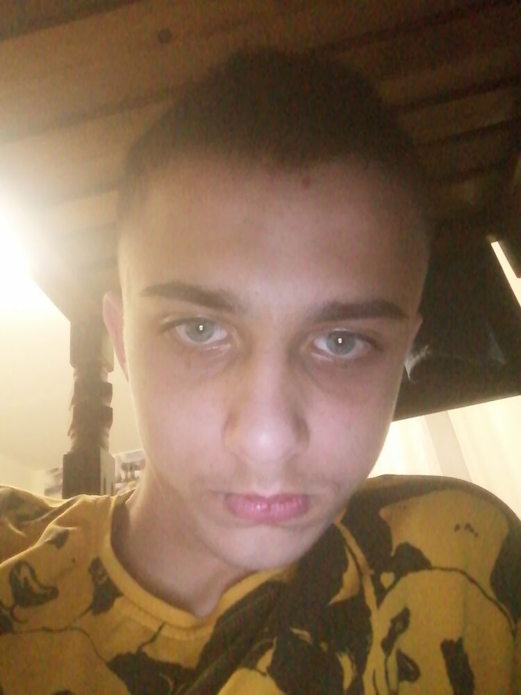  24783391  , 22 ,    