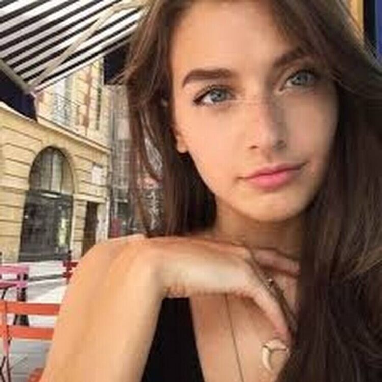  24744981  , 26 ,    