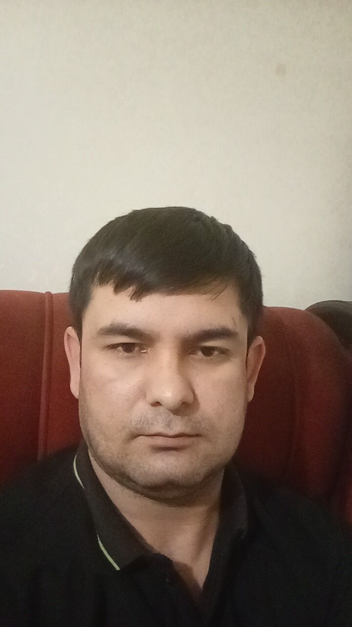  49074381  , 33 ,    