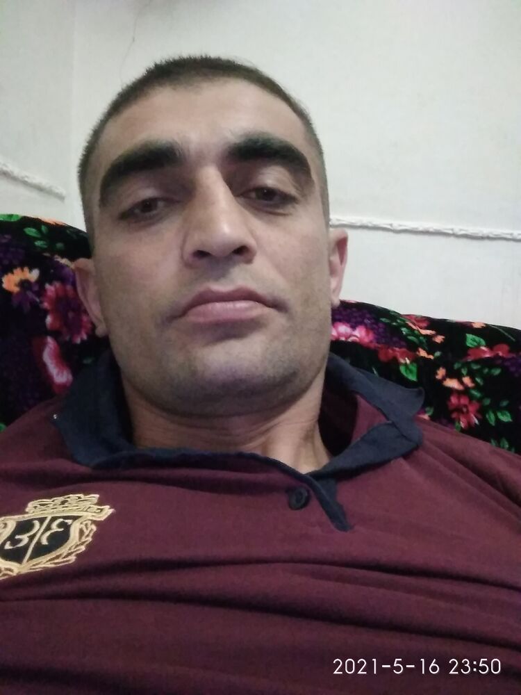  -,   Dilfin, 34 ,   ,   