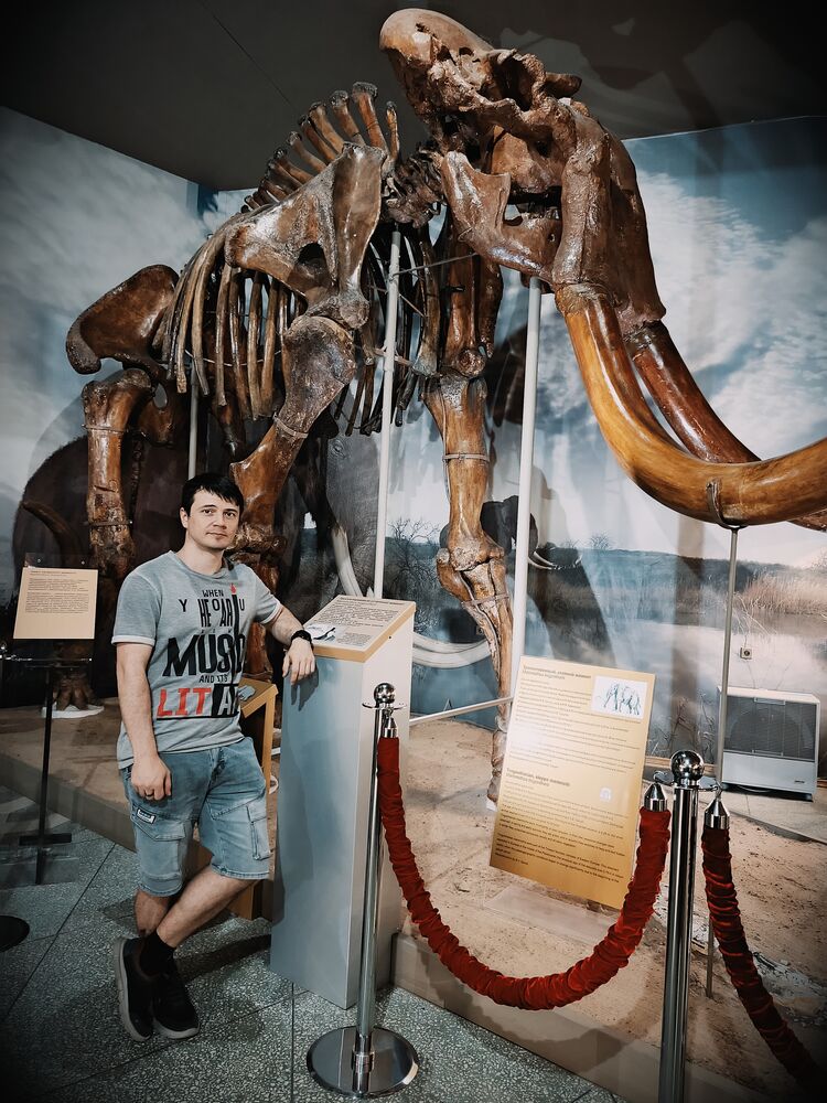  53641911  , 33 ,    --