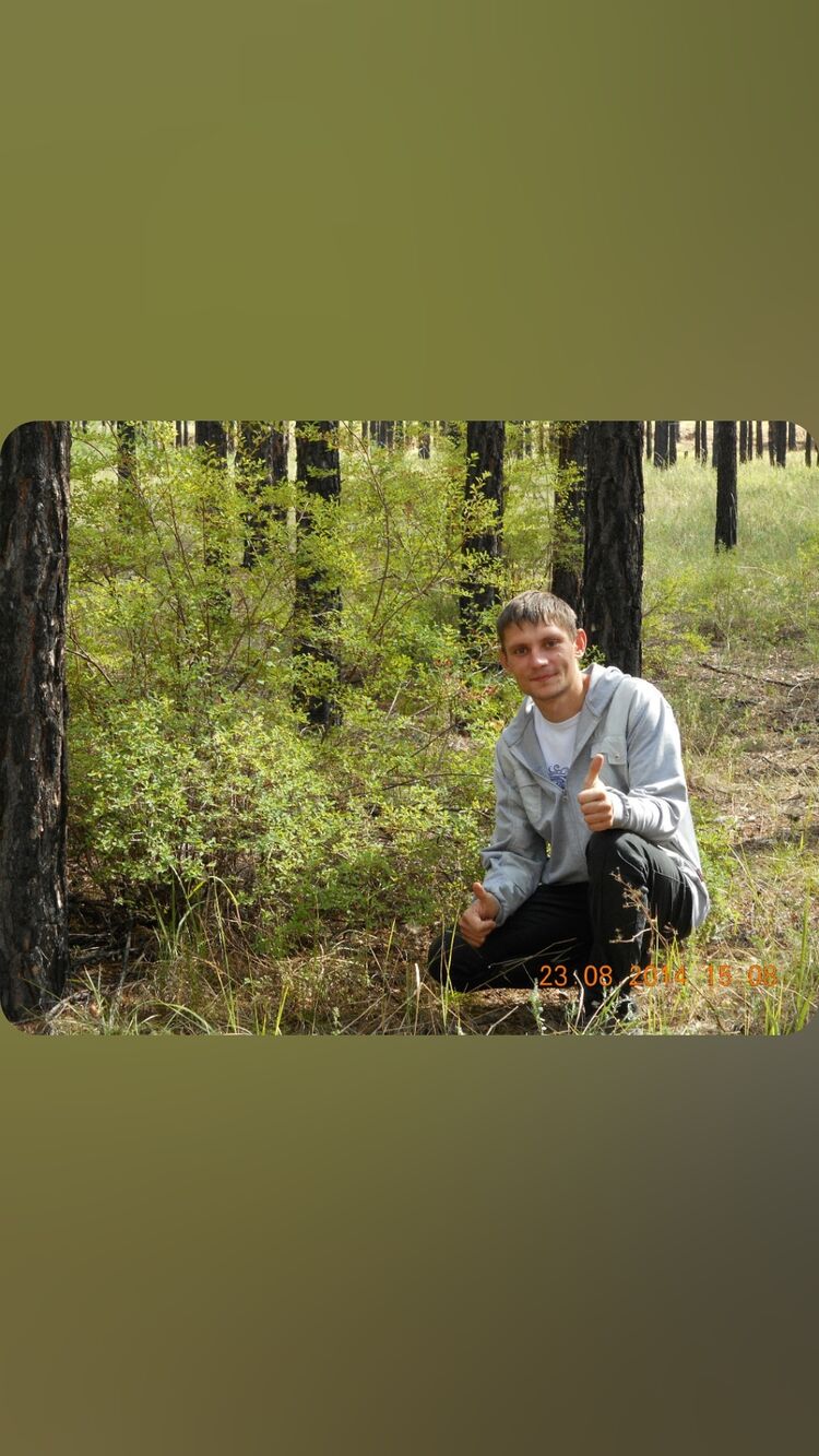  54470591  , 38 ,    -