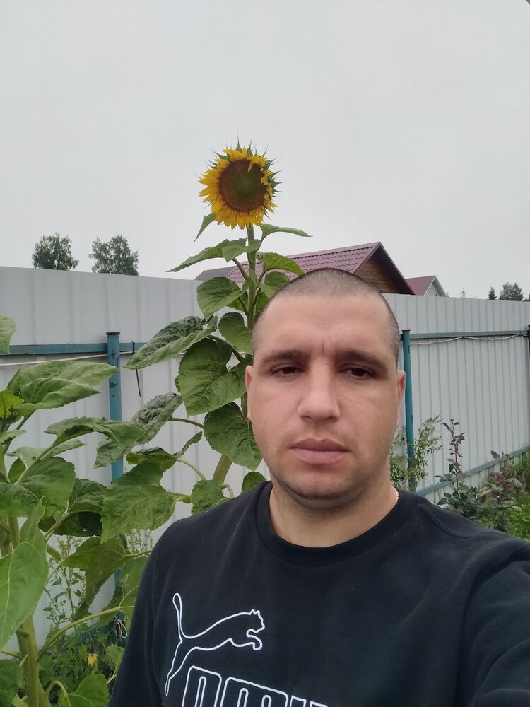  37035681  , 33 ,    