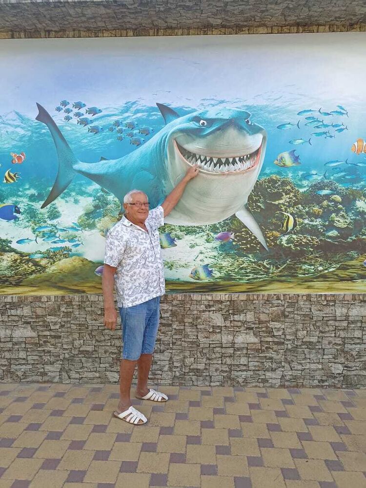  ,   , 95 ,  