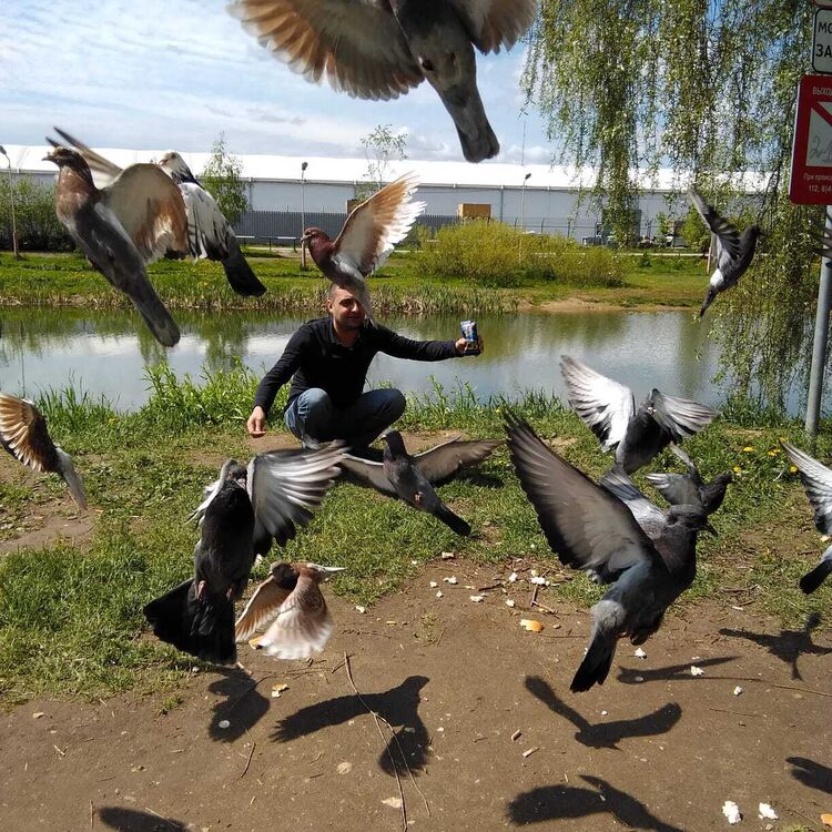 ���������� ������, ���� ������� ������, 46 ���, ������������ ��� ������, ����� � ���������