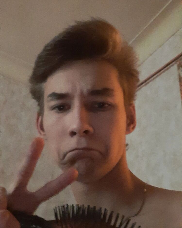  29101651  , 21 ,    