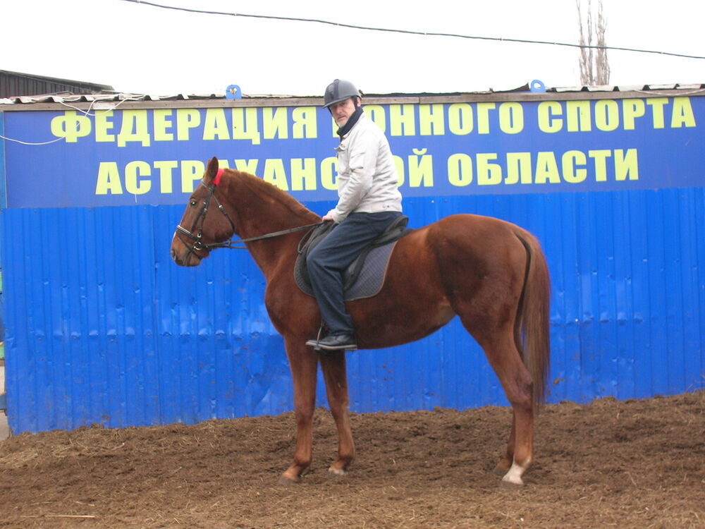  Novy,   , 63 ,   ,   