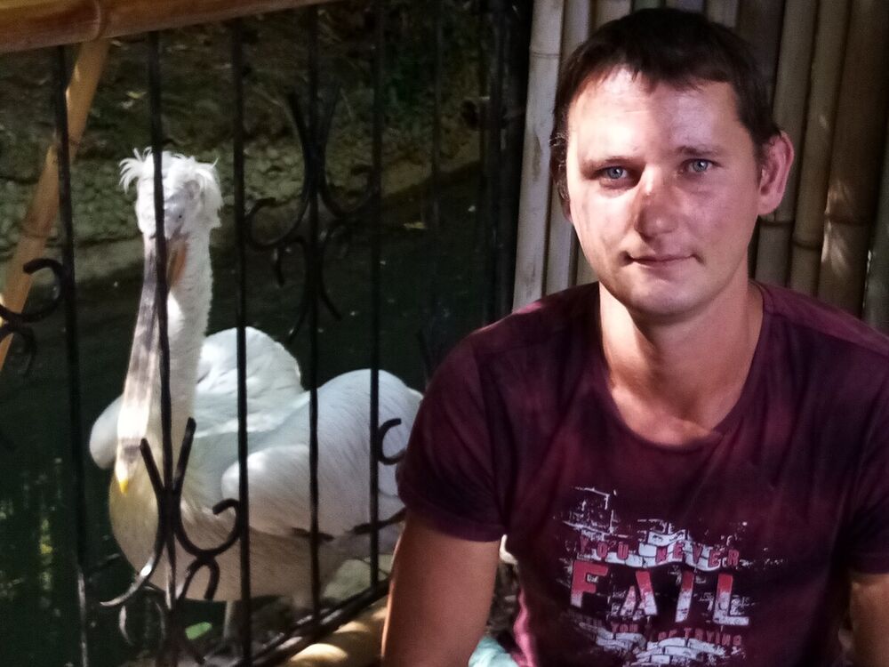 ���������� �����, ���� ������� �������, 39 ���, ������������ ��� ����� � ���������, c�������� ���������