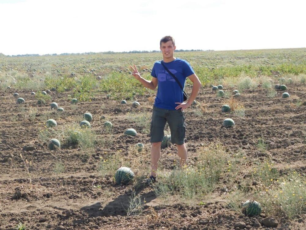 ���������� �����, ���� ������� �������, 33 ����, ������������ ��� ������, ����� � ���������