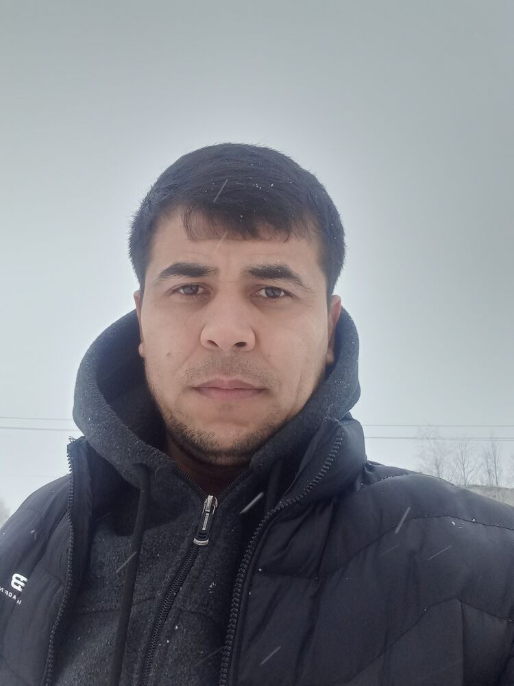  31590481  , 38 ,    