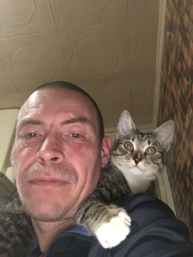  ,   , 44 ,   ,   