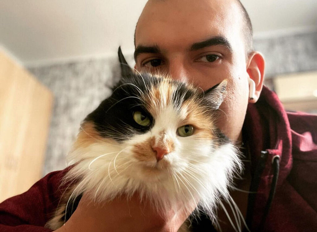 ���������� �����, ���� ������� �������, 31 ���, ������������ ��� ������, ����� � ���������