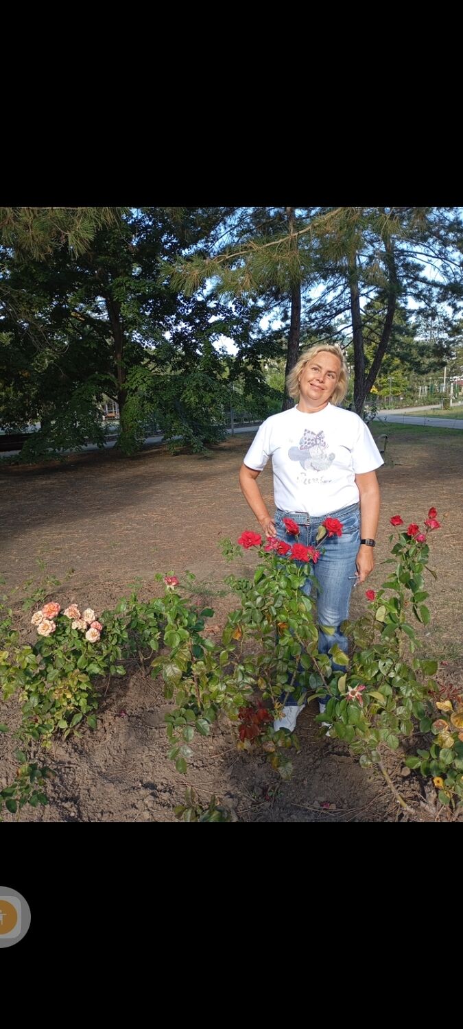 ���������� �����������, ���� ������� �����, 55 ���, ������������ ��� ������, ����� � ���������, c�������� ���������