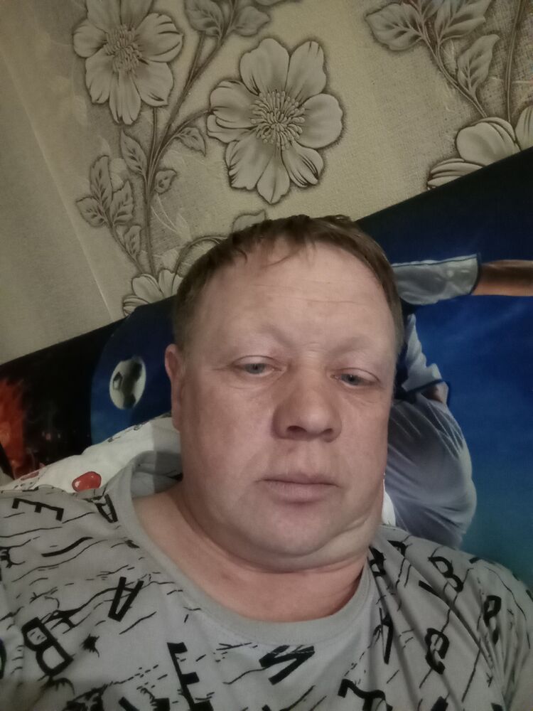  41335681  , 40 ,     