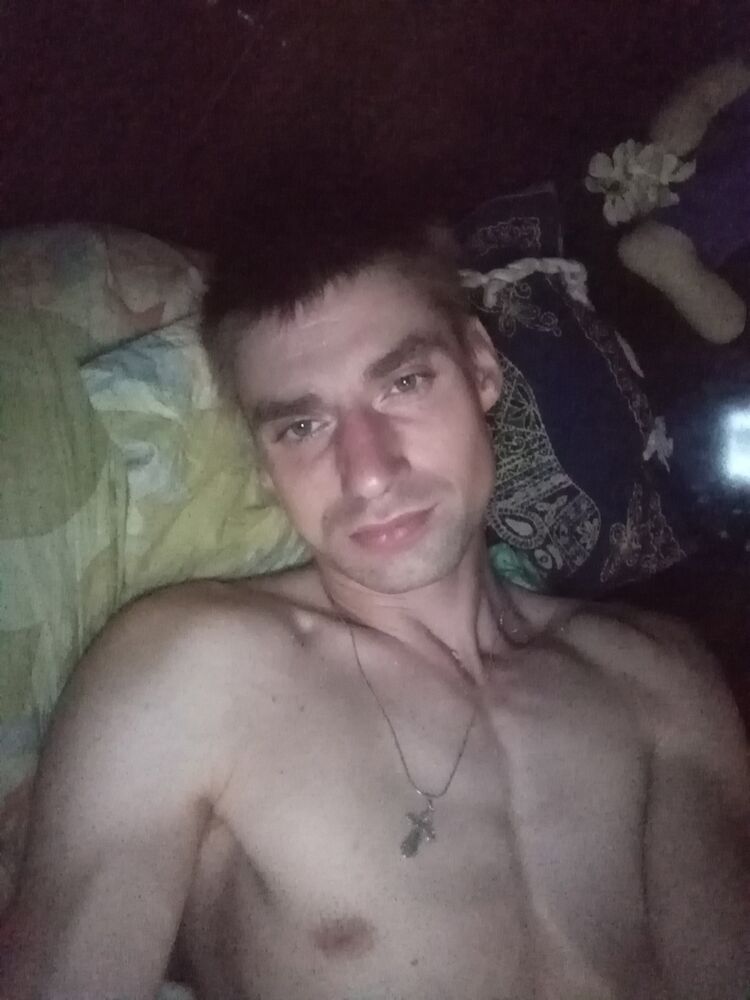  33658241  , 31 ,    -