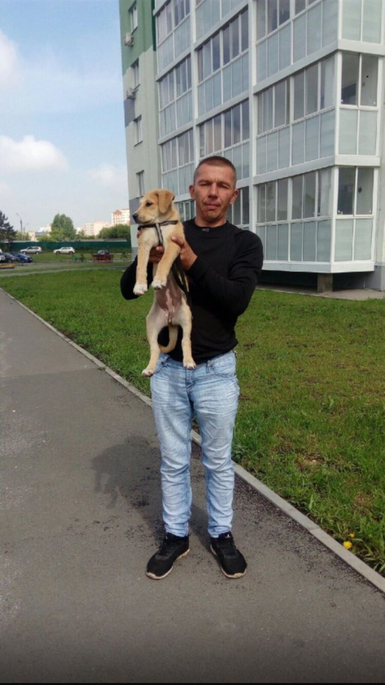 ���� 34064911 ������� ����, 40 ���, ���� ���������� � ��������