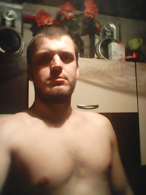  8186631  , 36 ,    