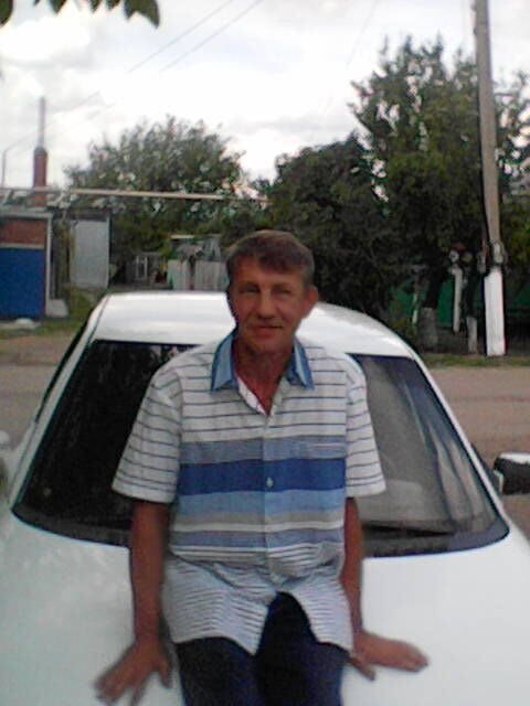  31568781  , 56 ,    