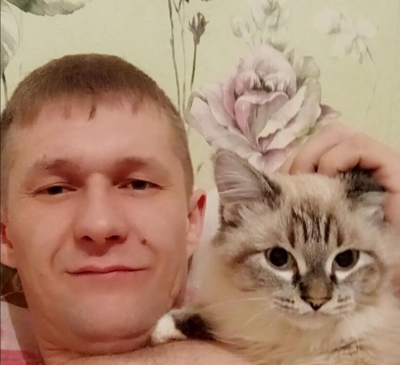 ���� 31007841 ������� ���������, 39 ���, ���� ���������� � �����