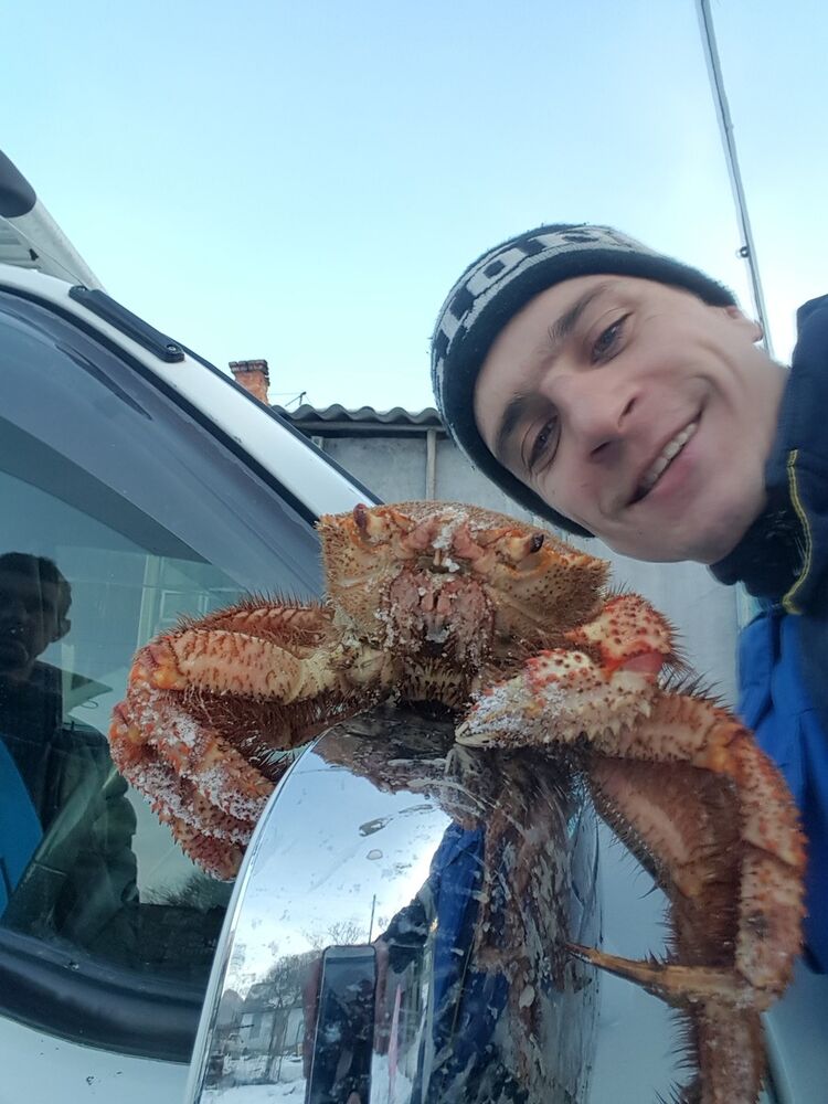  ,   , 37 ,   