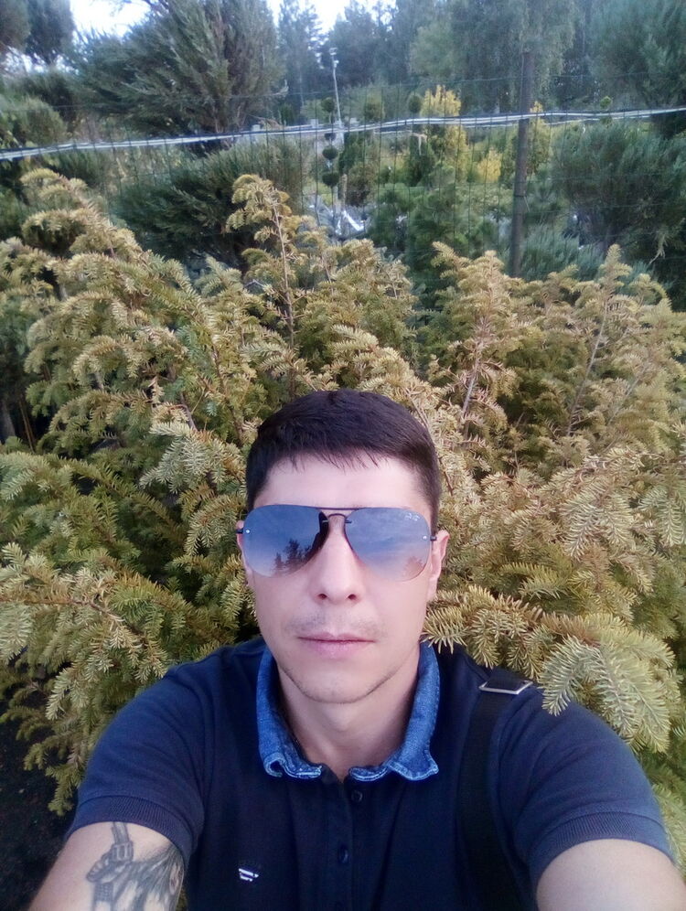  15998381  , 42 ,    