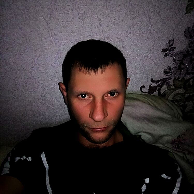  46512361  , 37 ,    