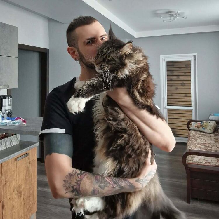 ���������� �������, ���� ������� �����, 35 ���, ������������ ��� ������, ����� � ���������, c�������� ���������