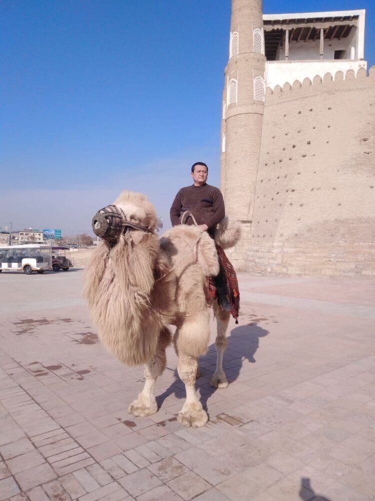 ���� 24303291 ������� �����, 49 ���, ���� ���������� � ��������