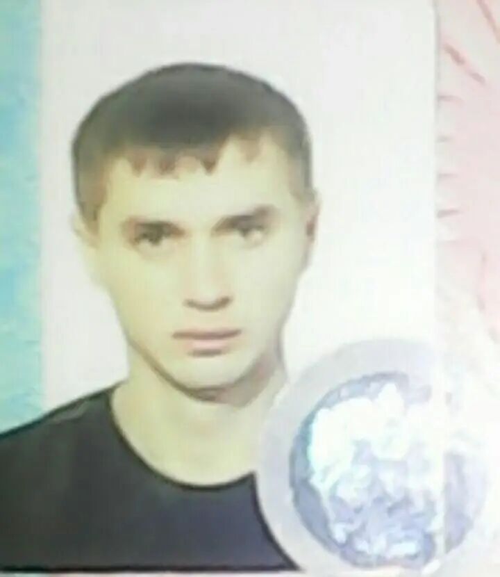  38218631  , 31 ,    