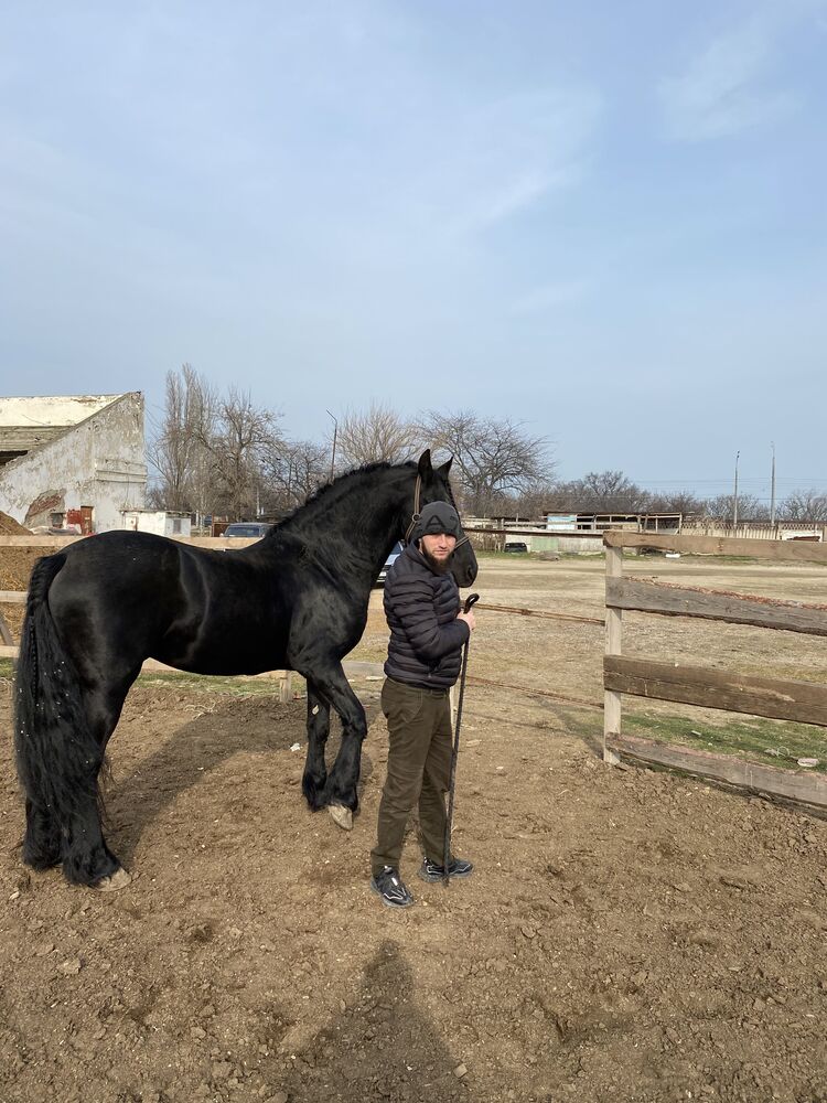 ���� 25398701 ������� �����, 30 ���, ���� ���������� � ���������