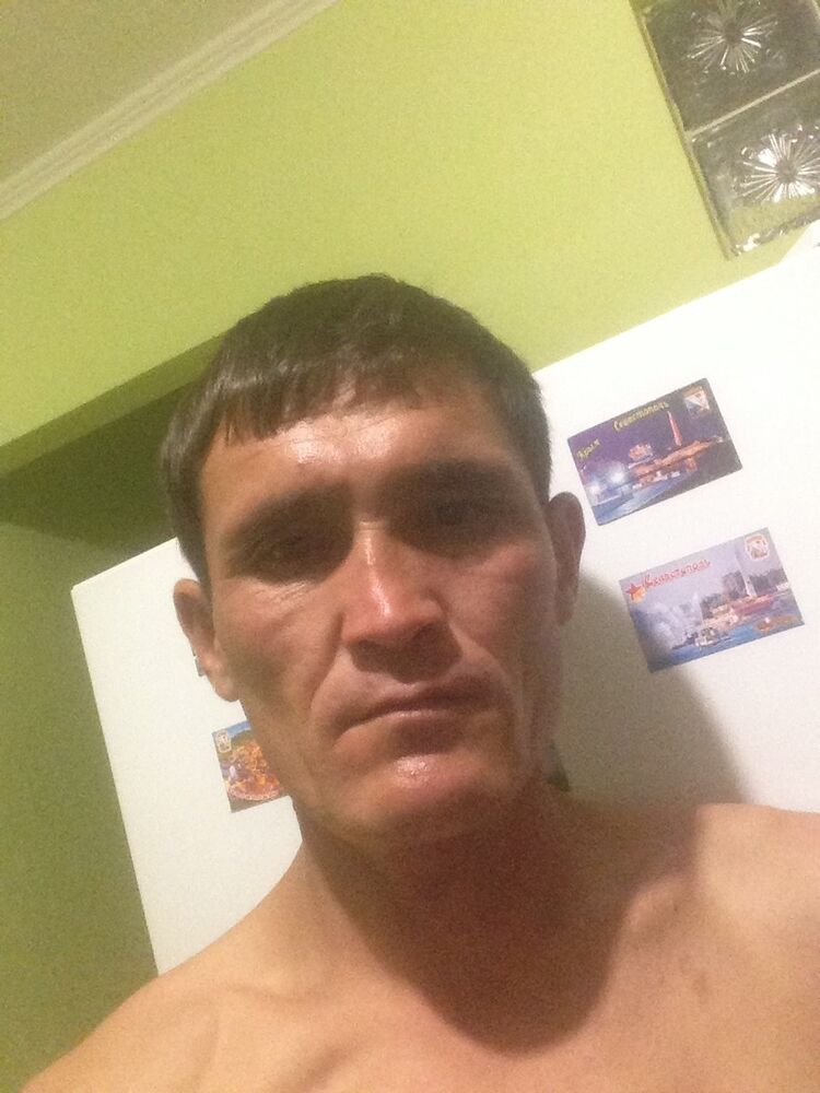  16682441  , 43 ,    