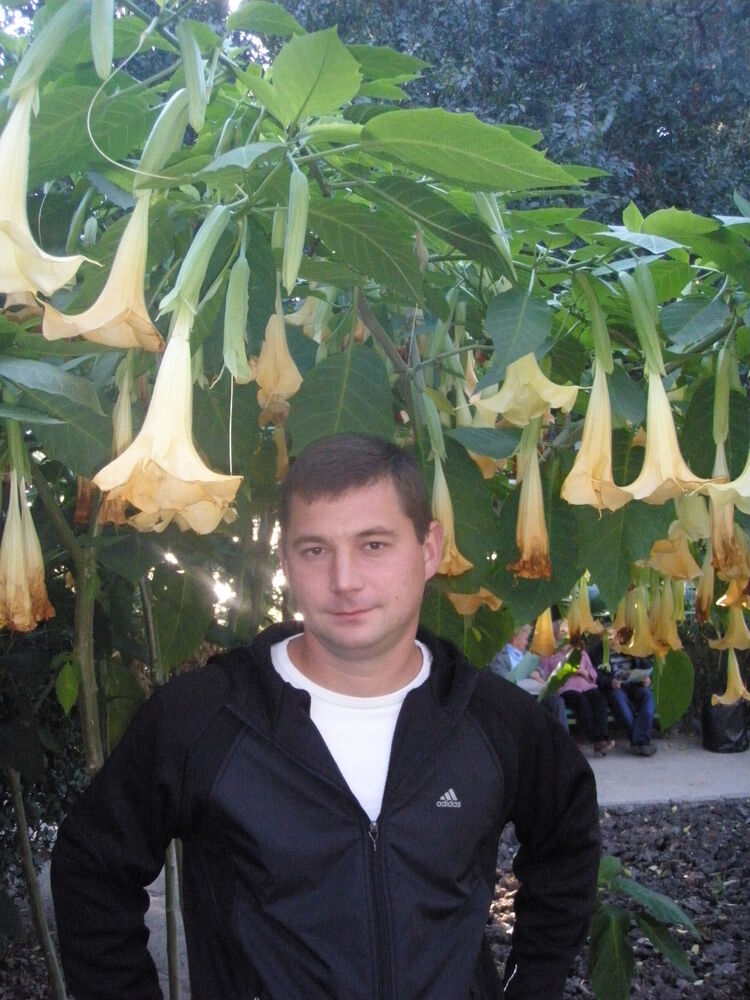 ���� 42804201 ������� ����, 42 ����, ���� ���������� � �����������