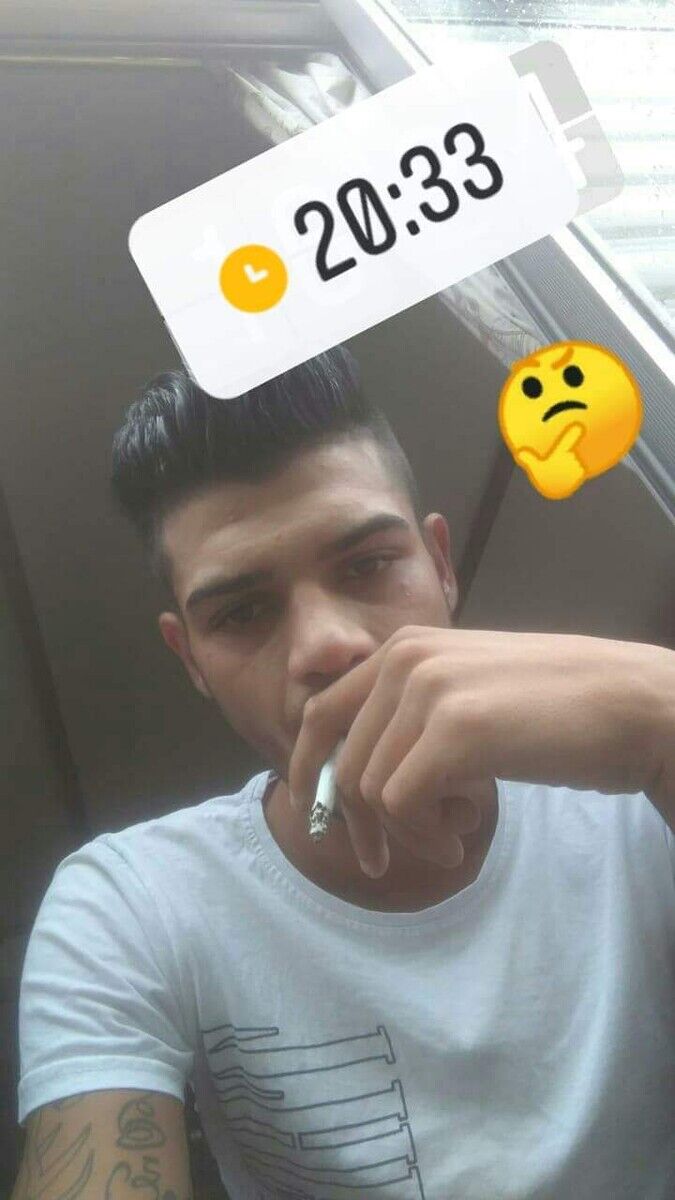 20393501  , 25 ,    
