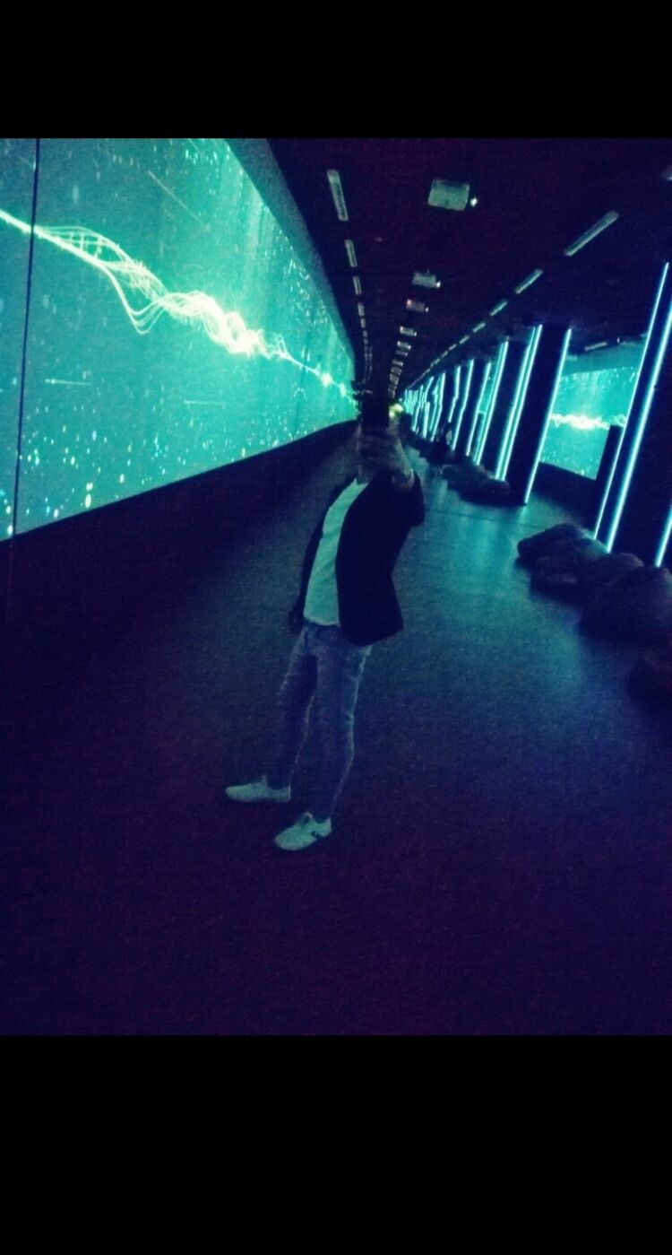 28838721  , 38 ,    