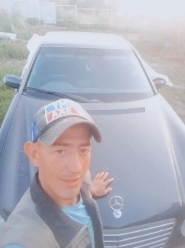  31010381  , 33 ,    