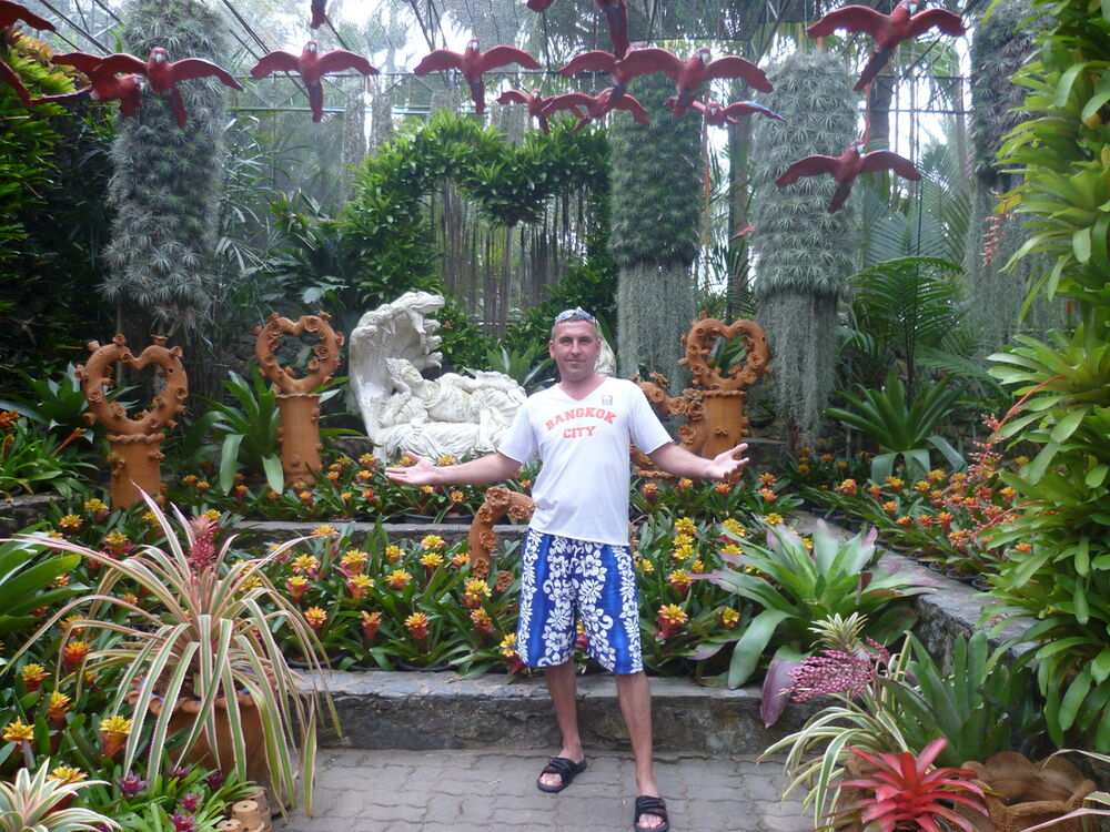  --,   , 51 ,   
