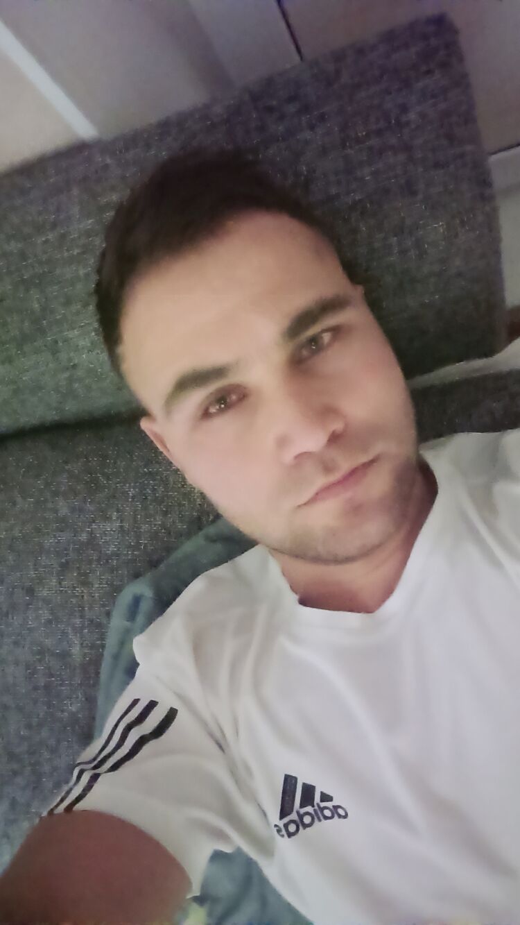  50980781  , 31 ,    -