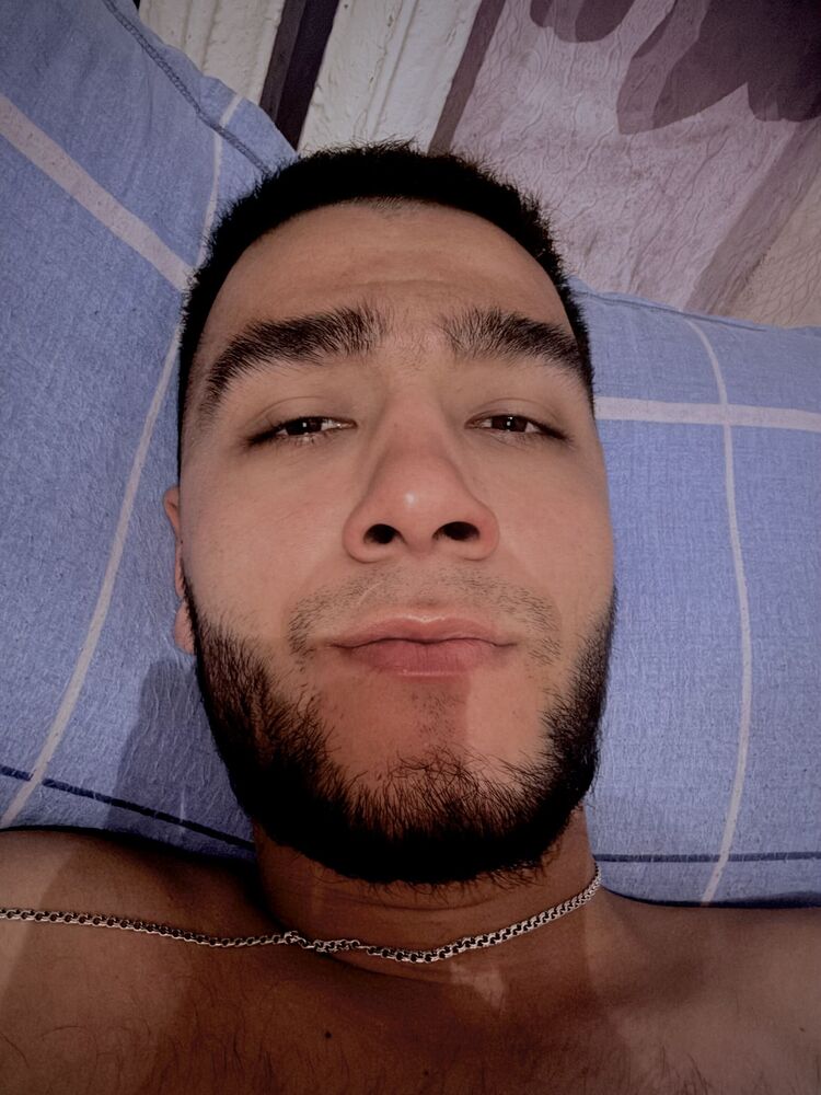  53811551  , 34 ,    