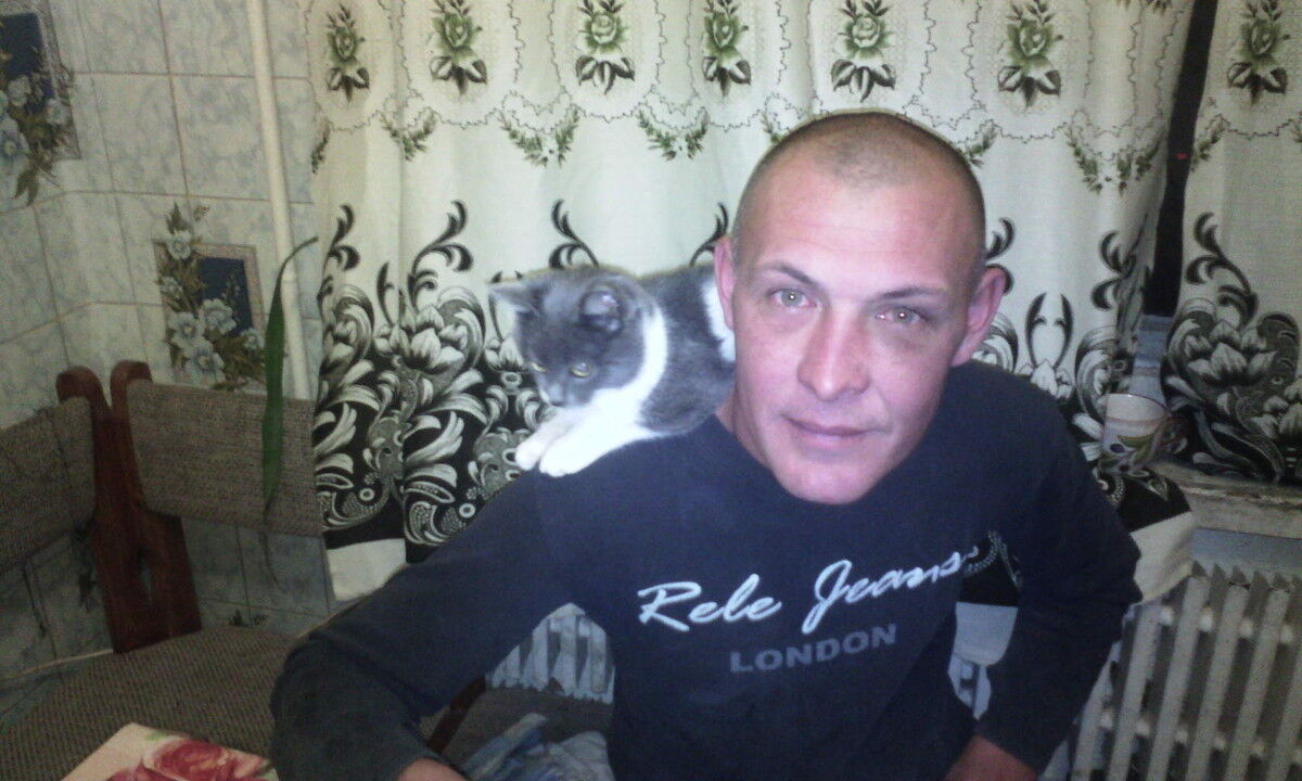  ,   , 43 ,   