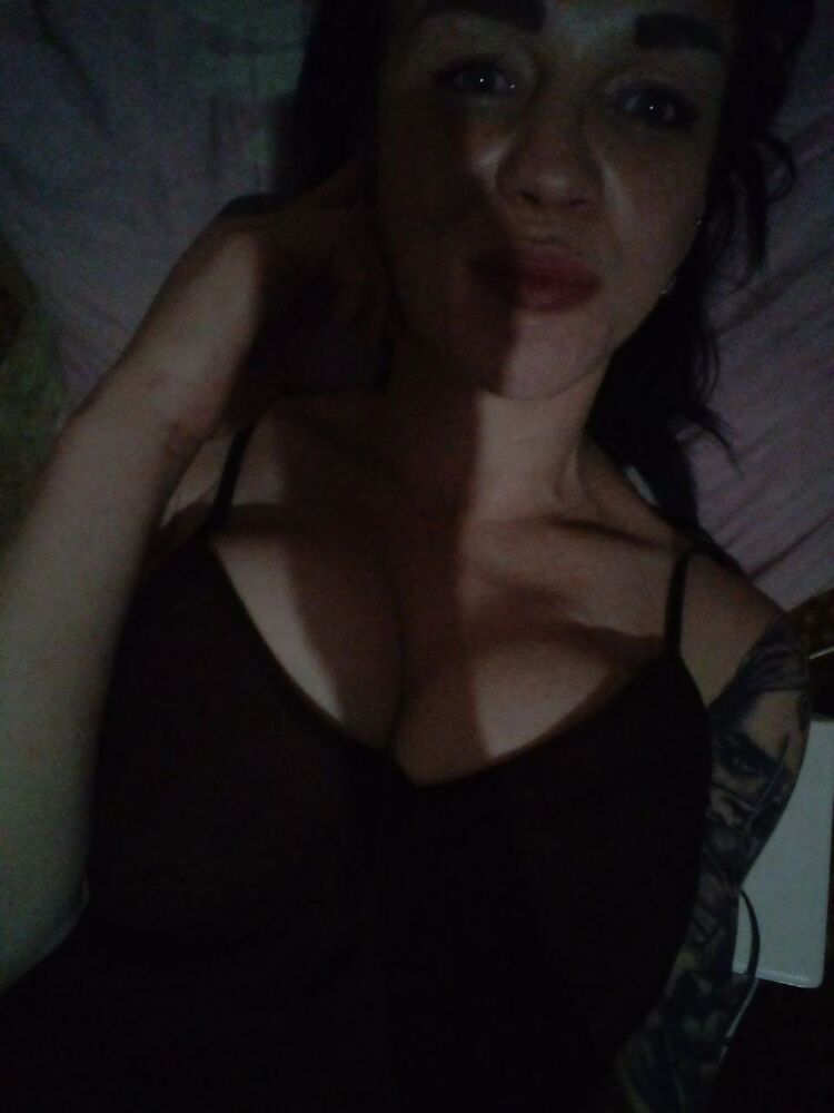  43906501  , 40 ,    