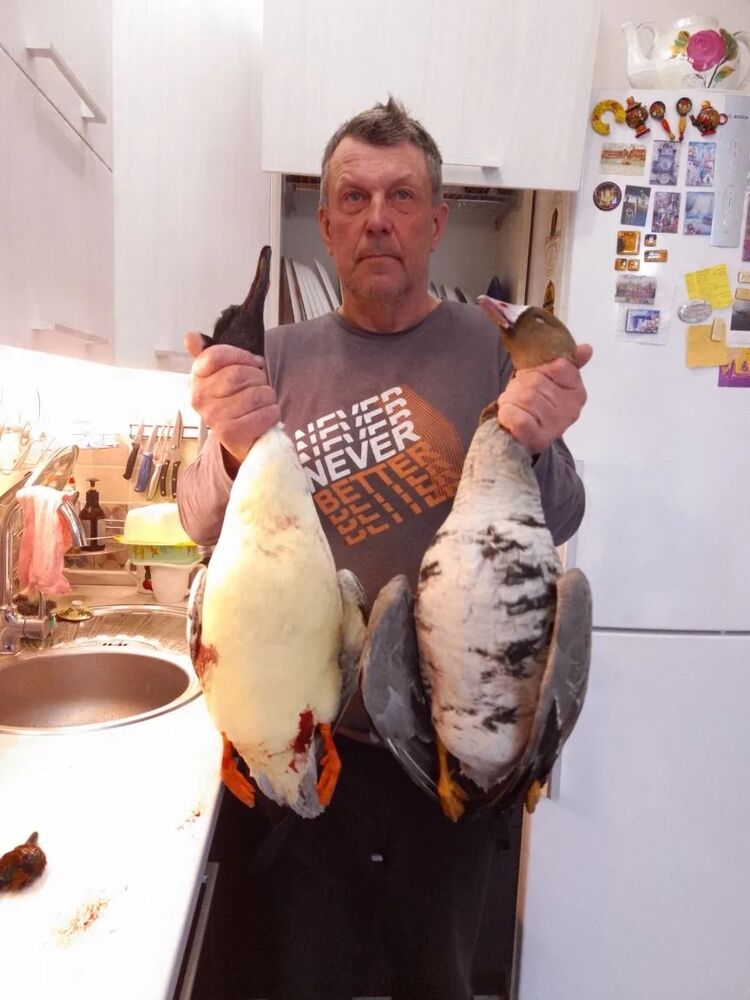 ���� 56034221 ������� ��������, 58 ���, ���� ���������� � ������������