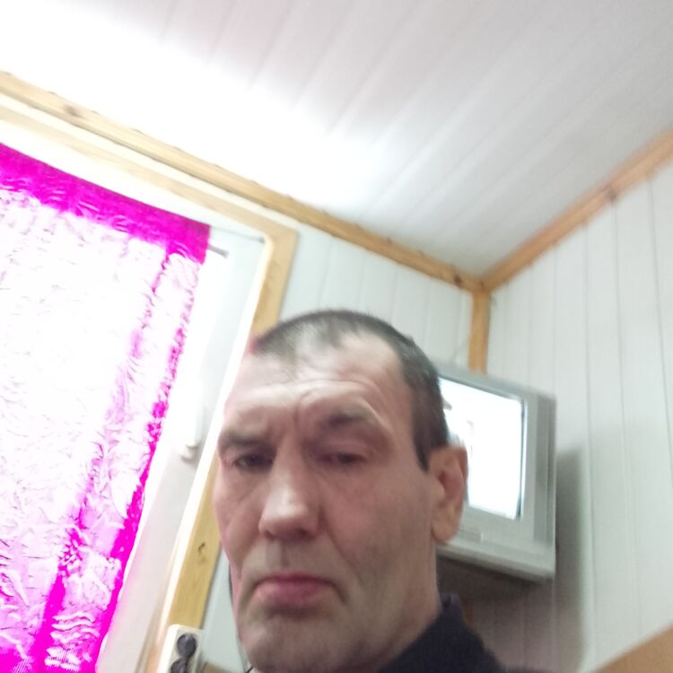 ���� 31949571 ������� ������, 50 ���, ���� ���������� � ������