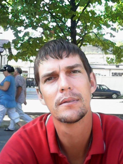  ,   , 41 ,   